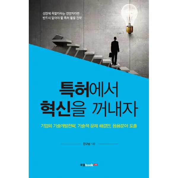 특허에서 혁신을 꺼내자:기업의 기술개발전략 기술적 문제 해결안 응용분야 도출, 북랩