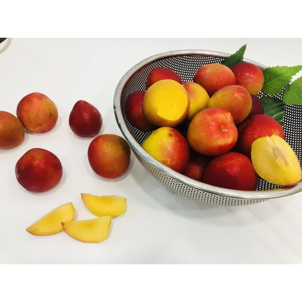 달콤새콤 제철 자두 3kg, 1개, 3kg중~특 랜덤발송