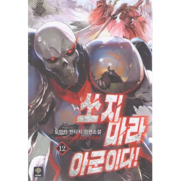 쏘지마라 아군이다. 12:토이카 판타지 장편소설, 인타임
