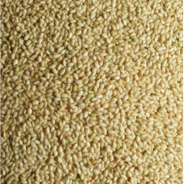 심곡약천 찰현미 [2kg], 개