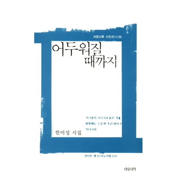 어두워질 때까지:한미성 시집, 서정시학