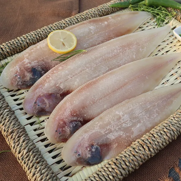 하준수산 군산직송 반건조 생선 박대 서대 35-38cm, 10마리