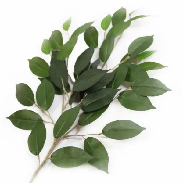 [바보사랑]싱그러운 나뭇잎 조화가지