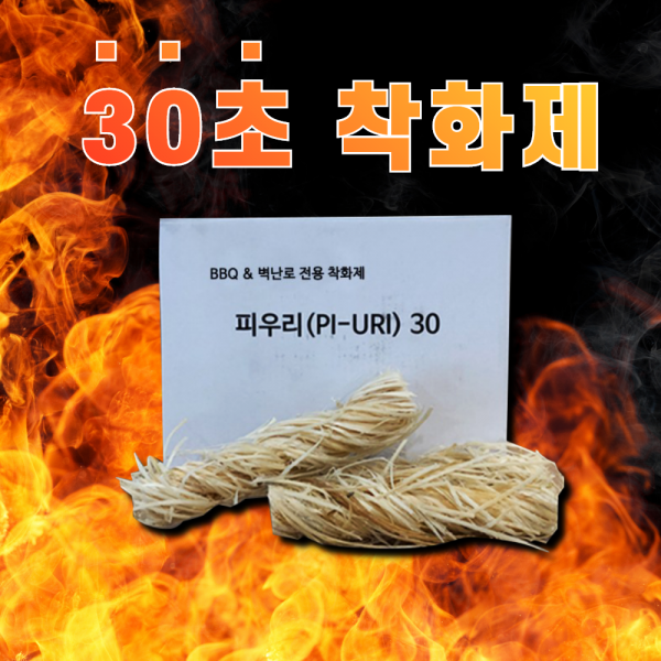 불쏘시개 착화제 고체연료, 30개입