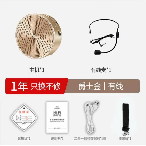 블루투스마이크 책가방 확성기 스피커 마이크 수업용 창구 블루투스 무선 송화기 휴대용 가이드 플레이어, T05-재즈 골드 : 유선마이크