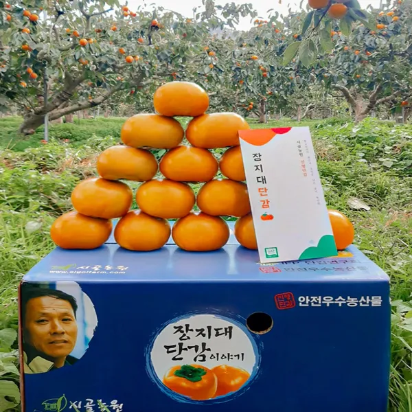 시골농원 40년 진영 단감 5kg 10kg GAP인증 세계농업인상 단감제대상 농가직송, 25개, 5kg