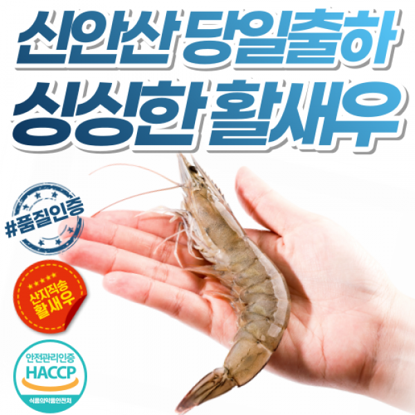 [산지직송] 국내산 신안 흰다리 새우 왕새우 대하 활새우 생새우