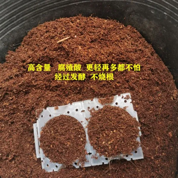 고정기 식물 고압 T케이스 뿌리를 내리다 번식구 꺾꽂이 생근 고공 나뭇가지를 누르다 3144901253, 더블루프 고리 까기 자르는