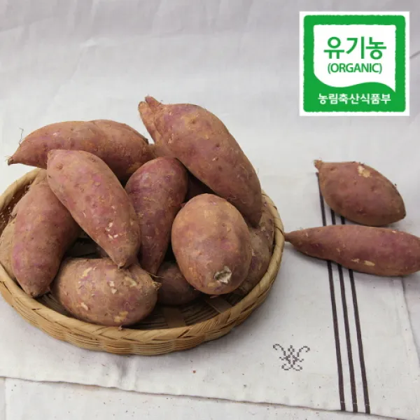 무안 유기농 햇 고구마 황토밭 달수 밤 꿀고구마 해수고구마 (한입) 3kg 5kg