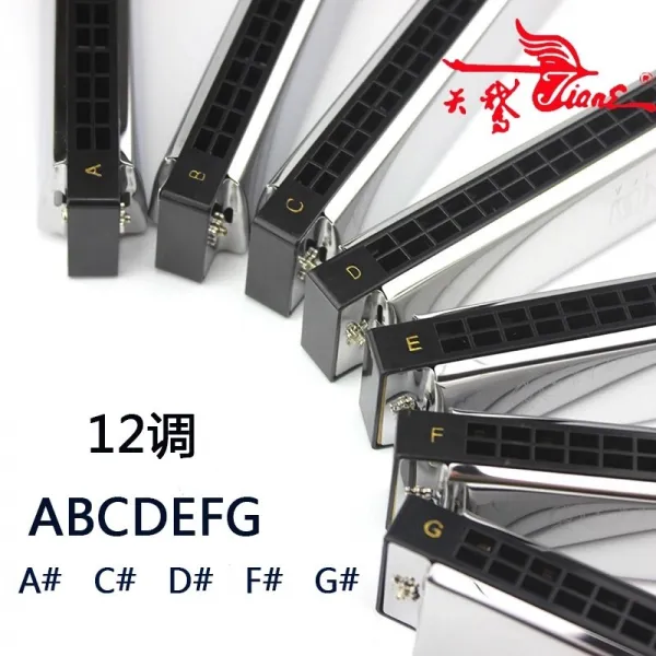 백조 하모니카 초학 24 공성복음전공 단음 A/B/C/D/E/F/#A/C/C/F/#A/C/C/C/F/고급 연주악기 F 조