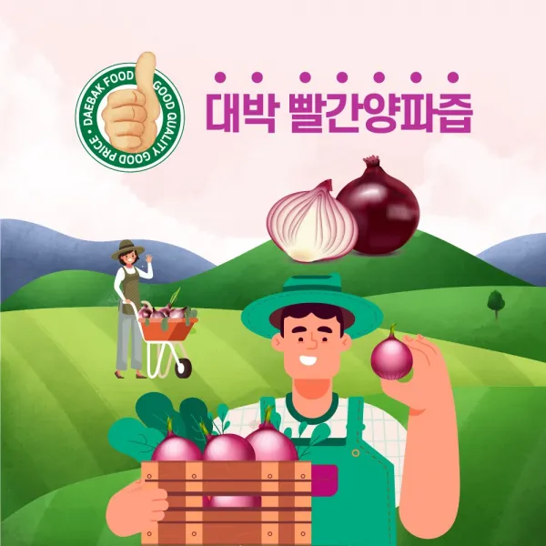 무안 자색양파 순수100% 뿌리 껍질 채 달인 찐 대박빨간양파즙, 대박 빨간양파즙100포