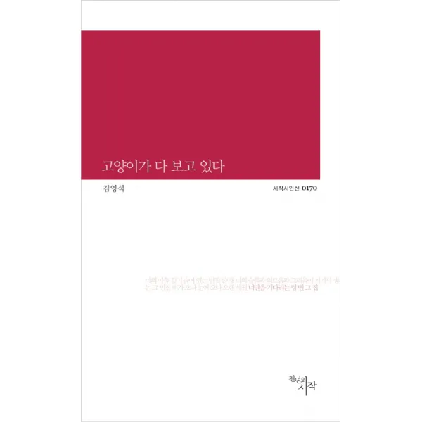 고양이가 다 보고 있다, 천년의시작