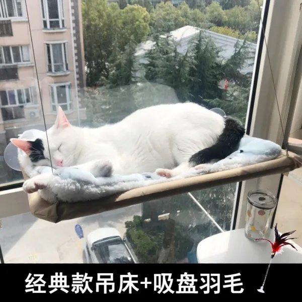 고양이일광욕 고양이캣타워 미니캣타워 고양이해먹, C+장난감