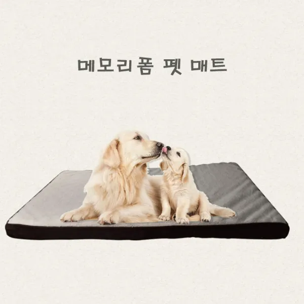강아지집 강아지하우스 하우스강아지고양이집숨숨방석: TDWQBC 노벨쇼핑상 빠른배송 +50006725 강아지방석, 선택해주세요_다크브라운