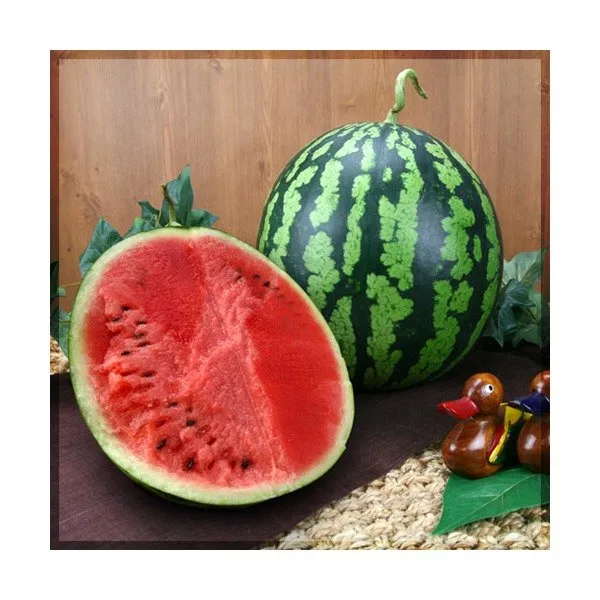 [과일천하] 달고 시원한 수박 1통/7-8kg 내외, 상세 설명 참조