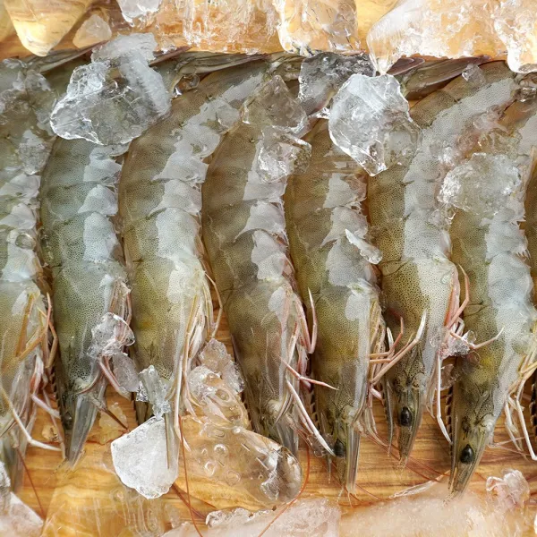 대천해 생물 왕새우 500g(15~20미)