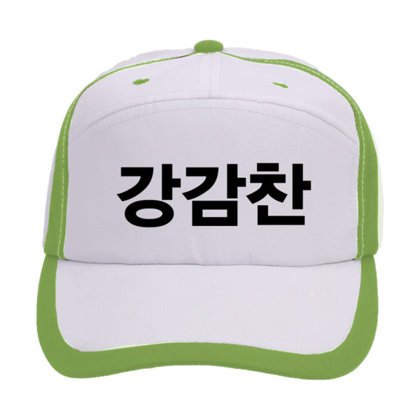 일렉션웨어 무소속 A형 그린 선거모자