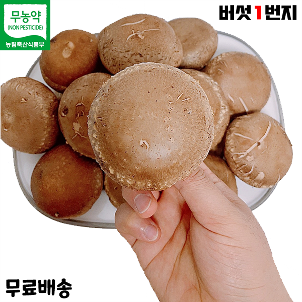 버섯1번지 장흥 무농약 국내산 생 표고버섯 1kg 정품 특상품, 1박스, 1kg