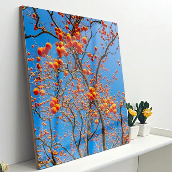  바보사랑 아크릴액자_부자가되는감나무 중형 이미지3