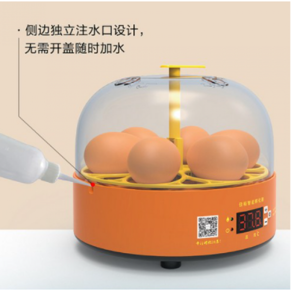 계란부화기 자동 병아리 조류 6란 2021년신상품