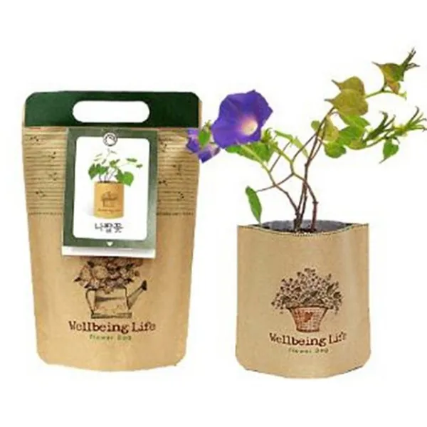 쿠팡유이_d2 플라워백 나팔꽃 식물키우기 화분 정원 07d1 원예 씨앗