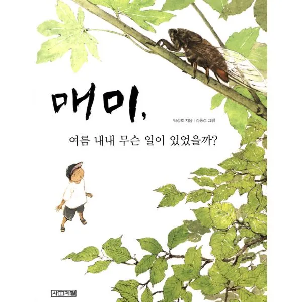 매미 여름 내내 무슨 일이 있었을까?, 사계절