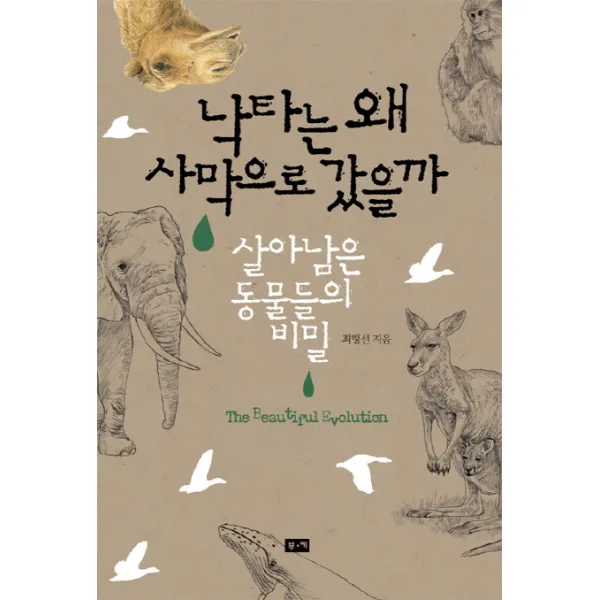 낙타는 왜 사막으로 갔을까:살아남은 동물들의 비밀 부키
