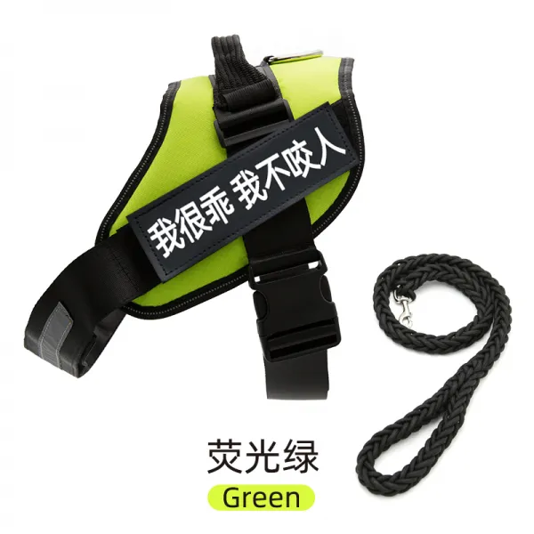 Mar.20 176번 강아지 가슴 멜빵 견인줄 덕목 조끼형 말견 사모예 용품 대형 중형견 산책용 목줄 체인z Xs 8 13 근 8 근 미 만 의 연락 서비스 그린 + 8 줄 1.2m 선물