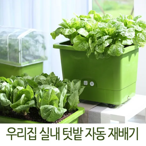 깨끗하게 길러먹는 실내용 자동 식물키우기 자동급수 텃밭상자 실속3종세트 식물재배기