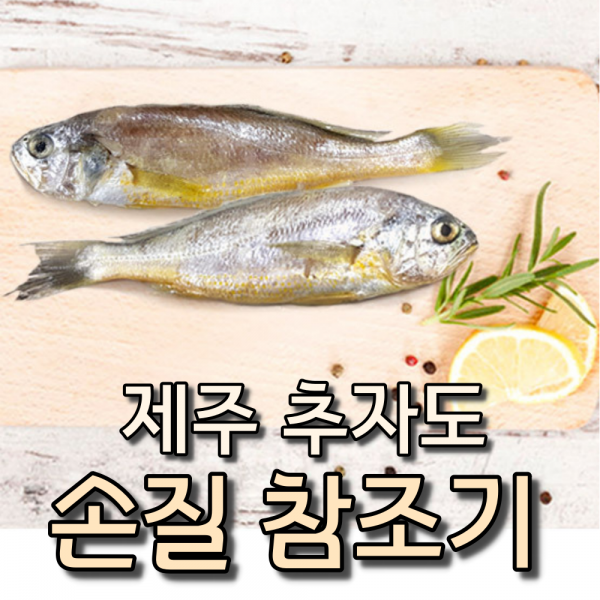 새벽바다 추자도 앞바다에서 잡아올린 제주 참조기 20마리 1400g