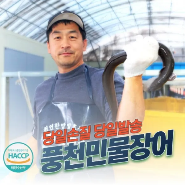 새벽장어 풍천 민물장어 산지직송 국산 자포니카 손질 장어, 1kg
