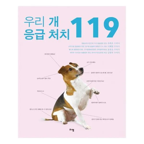 [리잼] 우리 개 응급 처치 119