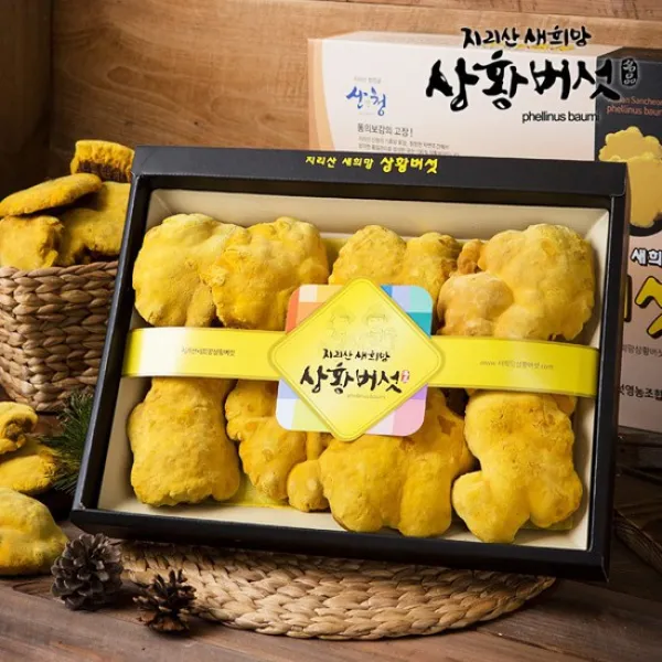 지리산 새희망 상황버섯 무농약지리산상황버섯선물세트300g특품, 없음, 상세설명 참조