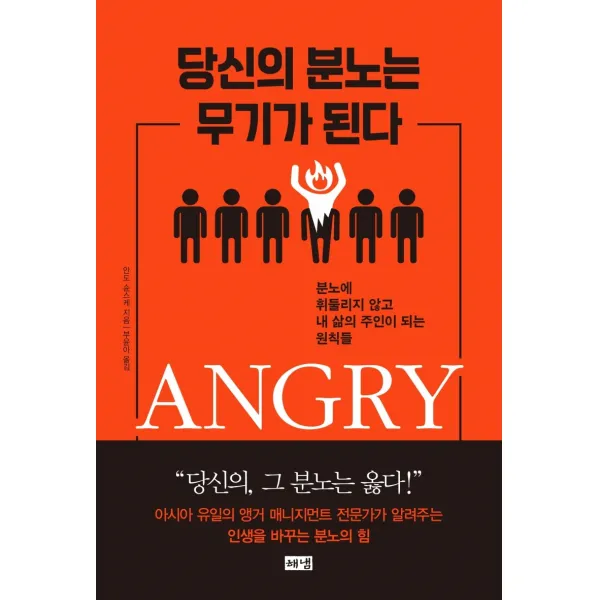 당신의 분노는 무기가 된다:분노에 휘둘리지 않고 내 삶의 주인이 되는 원칙들, 해냄출판사, 안도슌스케