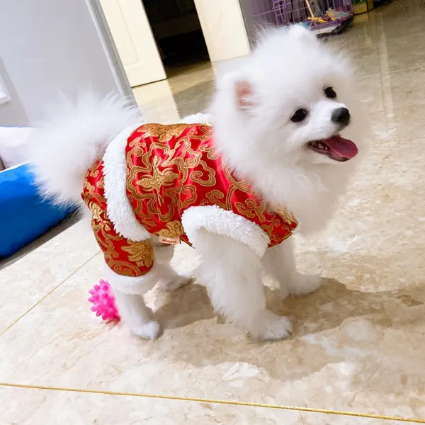 9번 강아지 새해 복장 당복 테디비 곰 소형 중형견 네 발 설맞이 애완동물의 가을·겨울 룩 축하Z 털 칼라 에 두 꺼 운 두 발 장 착 [경 홍] 경 홍, 1_인기 상품 - 대표 적 인 네 발 에 두 꺼 운 돈