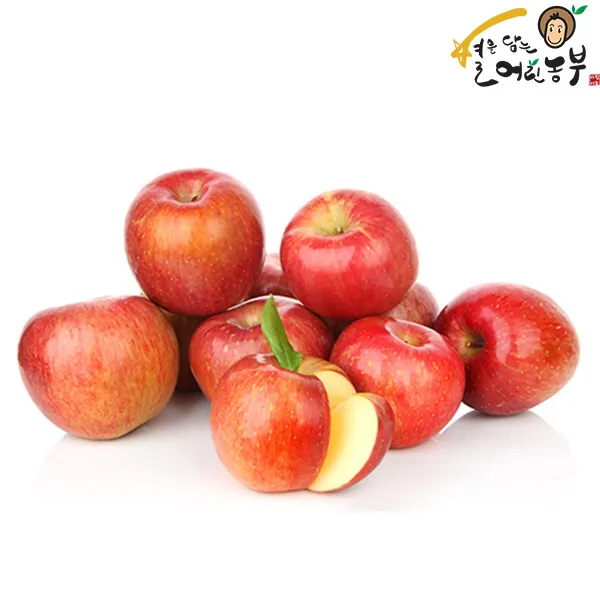 [별담농]아침이슬사과 못난이 사과 5kg 10kg, 꼬마(28-35)