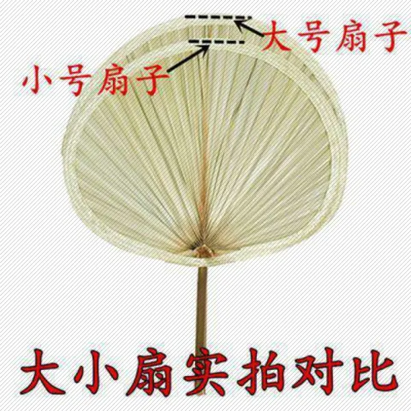 대포 제공 노인 구식의 핸드메이드 부들풀 무용 종려잎 바비큐, 큰사이즈 라지 （좋다 부채 수량 치다