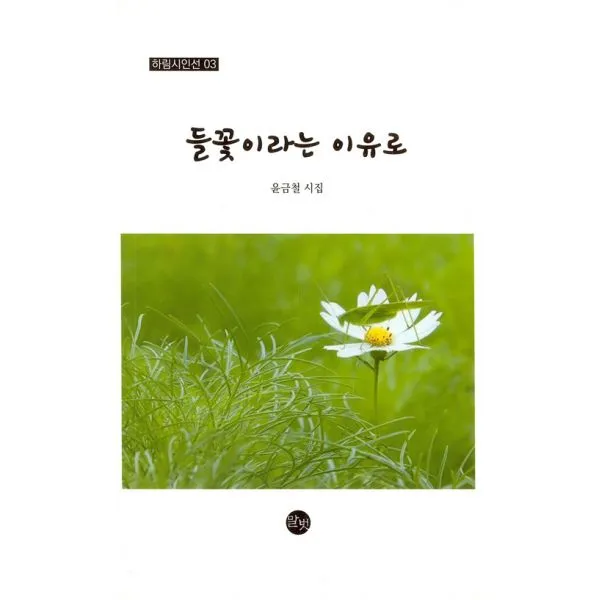 들꽃이라는 이유로, 말벗