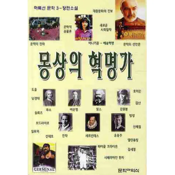 몽상의 혁명가, 문학과의식