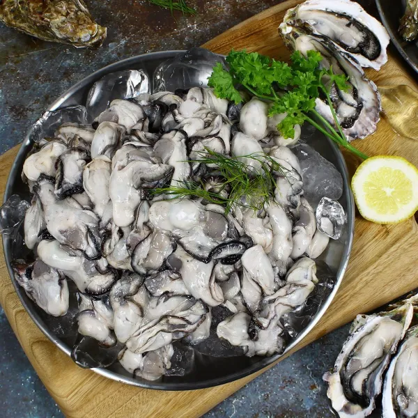 통영 베네치아수산 생굴 가열조리용 오후3시30분이전 토요일제외 당일발송 1개 생굴 1kg 