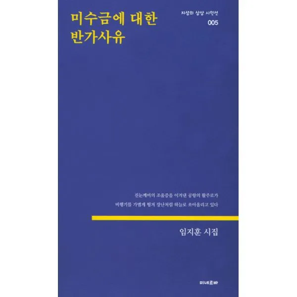 미수금에 대한 반가사유, 미네르바