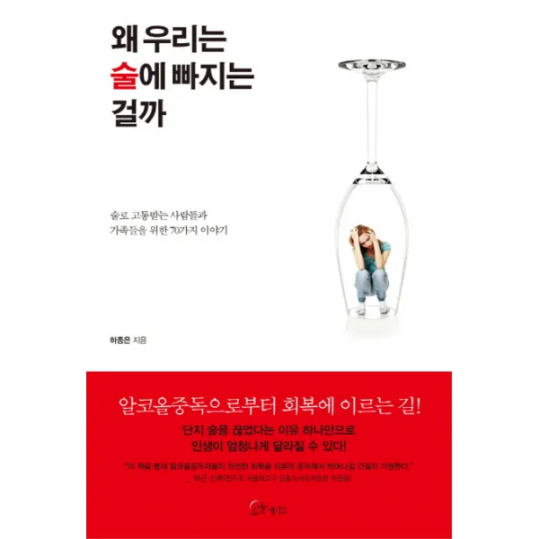 왜 우리는 술에 빠지는 걸까:술로 고통받는 사람들과 가족들을 위한 70가지 이야기, 소울메이트