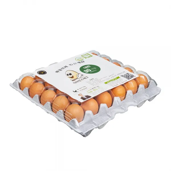 [당일 생산] 닥터안스에그 무항생제 인증 수의사 계란