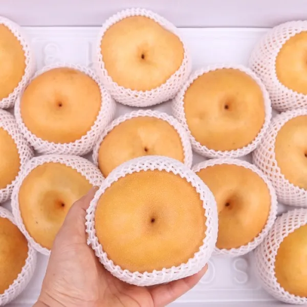 흠집배(상) 15kg 팔팔마켓 못난이 나주 신고배, kg