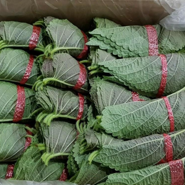 목사동묶음깻잎 10장묶음 100개(1000장) 1.5~2kg, 1개, 목사동묶음깻잎 500장(0.5~1kg)