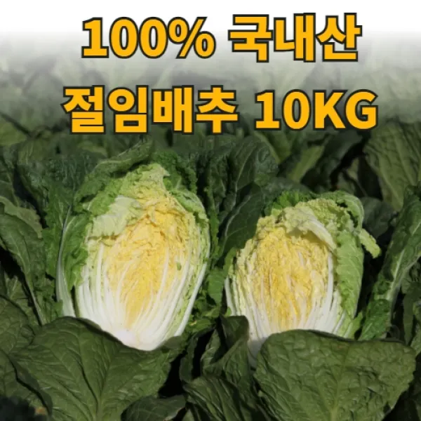 100% 국내산 고랭지 절임배추 10kg, 목요일 출고 금요일 도착