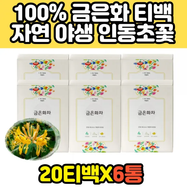 50대 여성 금은하 인동초꽃 추출물 원물 티백 차 효과 효능 건강 허브 추천