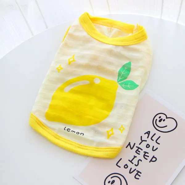 2개 감점 5 테디 펫 강아지 고양이 옷 은 털 보미비 곰 옷 여름 얇은 작은 개를 제거 합니다, 레몬 조끼