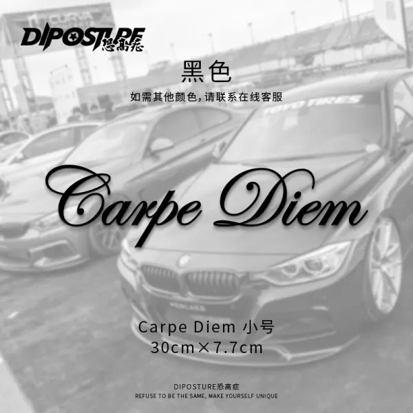 보석양행 고소공포증 차량앞 뒷유리 윈드실드 워셔 제트 개성 독창적 JDM 자동차흠집 시트지, Carpe-Diem 스몰자 블랙