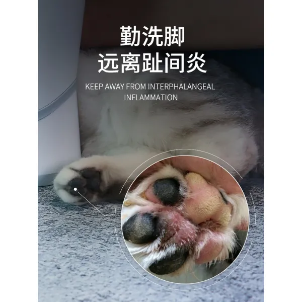 강아지 고양이 애완동물 산책후발 발냄새 닦기 씻기 산책발 자동 발세척기